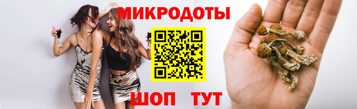 Сосновоборск  Псилоцибиновые грибы прущие грибы  Псилоцибиновые грибы Psilocybe  Вход с VPN 